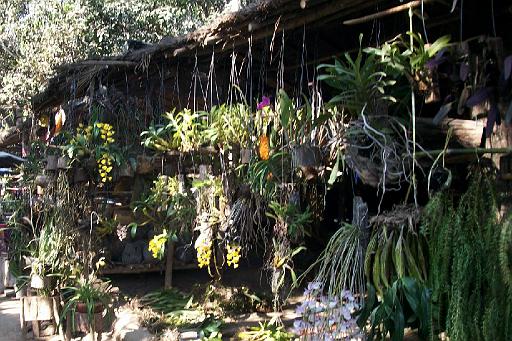 File 05.jpg - Auf dem Burmamarkt